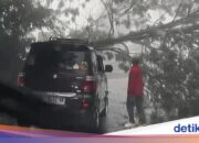Starker Regen, umgestürzte Bäume versperren Fahrzeugzufahrt in Puncak Bogor
