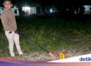 Viruseule erschossen, Frau in Belu NTT verhaftet