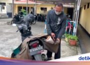 Jetzt gelingt es einem Turteltauben nicht, eine Abtreibung durchzuführen