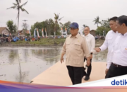 Prabowo nimmt an der großen Ankündigung zur Ernte und Selbstversorgung mit Nahrungsmitteln in Karawang teil