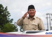 Sie möchten Importe von außerhalb arrangieren