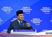 Wir haben 1.000 illegale Minen geschlossen