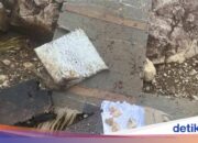 5 aktuelle Fakten zum Flugzeugabsturz ATR 42-500 in Maros, Süd-Sulawesi