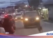 Virales Hirschrennen auf der Autobahn beunruhigt die Bewohner der Stadt Bogor