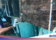 Die Polizei nennt Kapitän und Besatzung als Verdächtige im Untergang des Busschiffs „Valencia“.