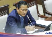 DPR-Kommission XI enthüllt die Gründe, warum Thomas Djiwandono zum stellvertretenden Gouverneur von BI gewählt wurde