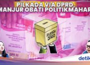 Der Aufstieg von OTT für Regionalleiter, die Auswirkungen politischer Mitgift?