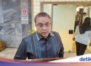 Stellvertretender Leiter der DPR-Kommission II ruft Prabowo zum IKN-Nachweis auf, der vervollständigt werden muss