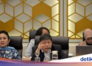 Anwohner, die Sumatra-Flutholz nutzen, brauchen einen legalen Schutzschirm