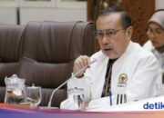 DPR-Kommission IX fordert MK auf, Klage zum APBN-Gesetz abzulehnen, und schlägt vor, MBG-Gesetz zu erlassen