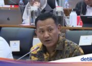 Stellvertretender Forstminister enthüllt die potenziellen Auswirkungen des El Niño-Zyklus in Indonesien auf Wald und Forstwirtschaft im Jahr 2027