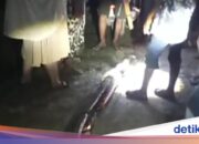 Entsetzt! Frau in Maros wäre beinahe gestorben, gebissen und umwickelt von einer 8-Meter-Python