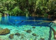 5 Reasons You Have to Go to Kerinci Seblat National Park, Number 2 Makes You Excited!!
