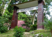 6 Facts About Gunung Leuser National Park, Number 5 Makes Dag Dig Dug Ser!!
